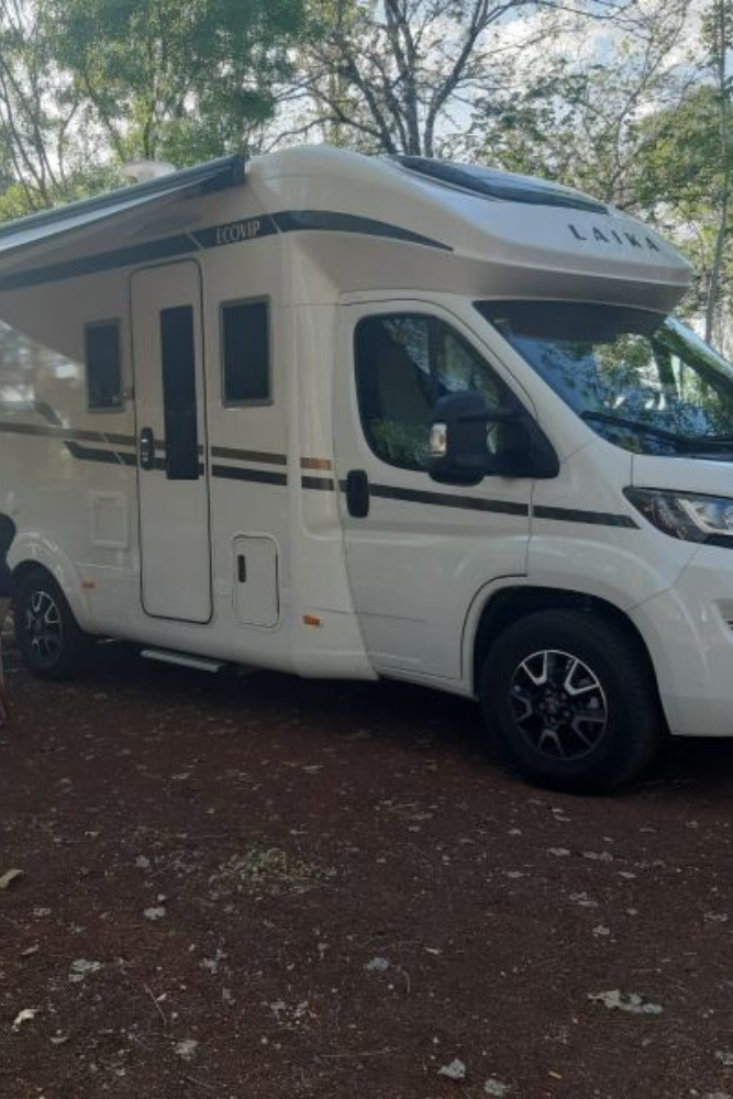 Diseño sin título - 2026-01-21T145018.384